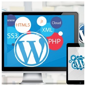 WordPress Websites